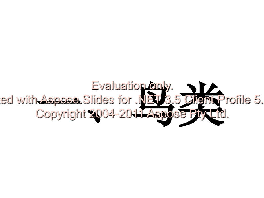 苏教版美术教材三年级第六册第九课鸟和家禽PPT课件_第2页