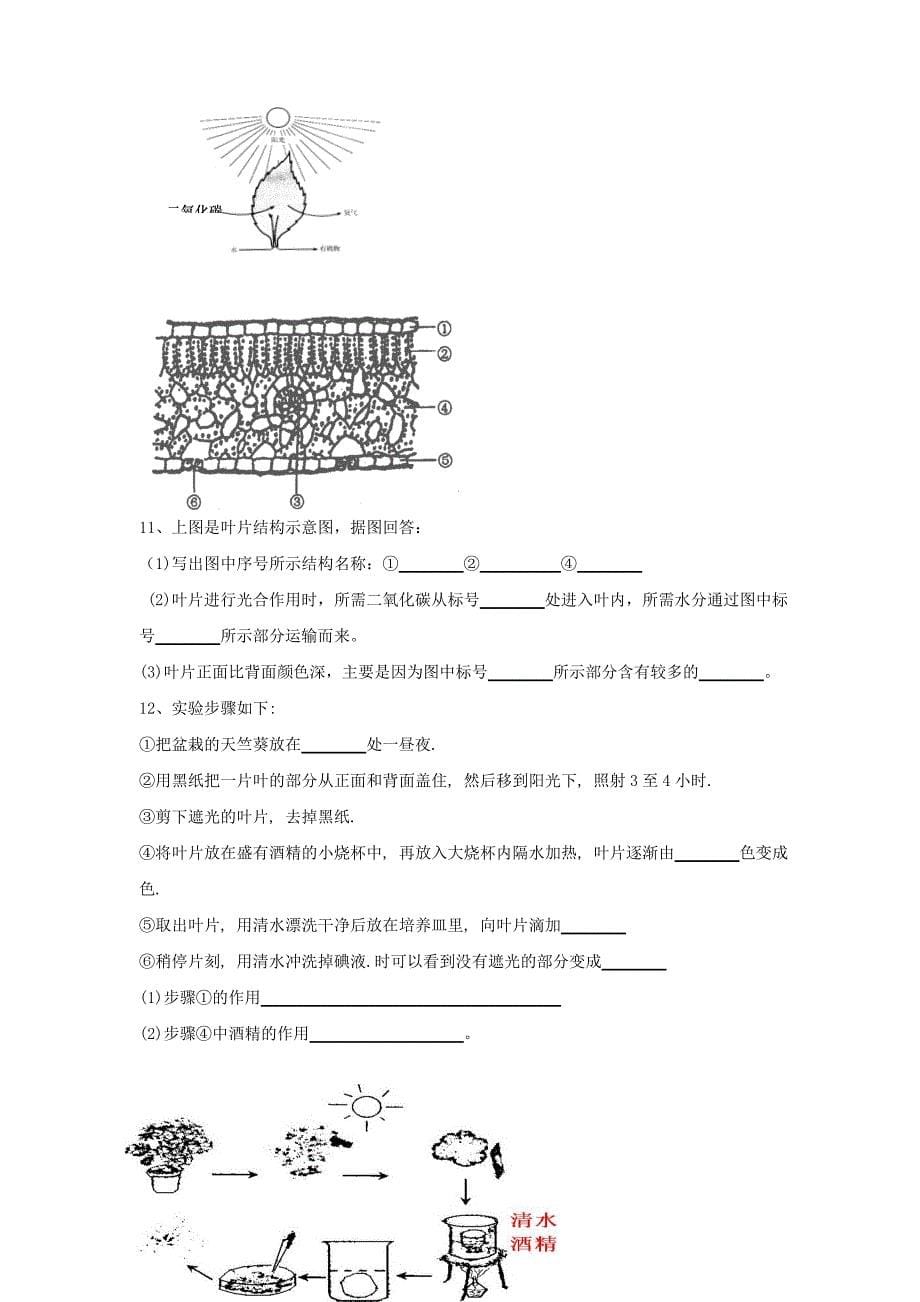 人教版初中生物识图专题(整理版)1_第5页