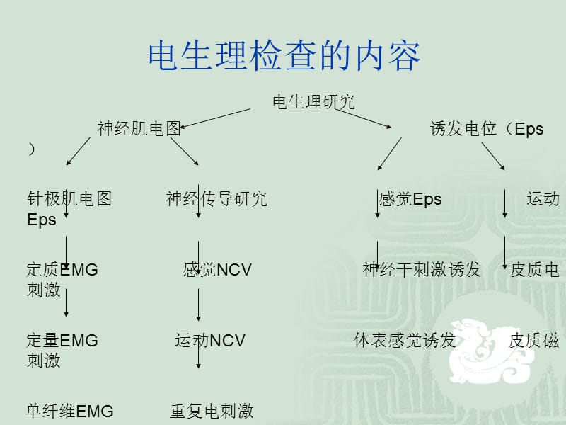 周围神经损害的电生理检查PPT课件123_第3页