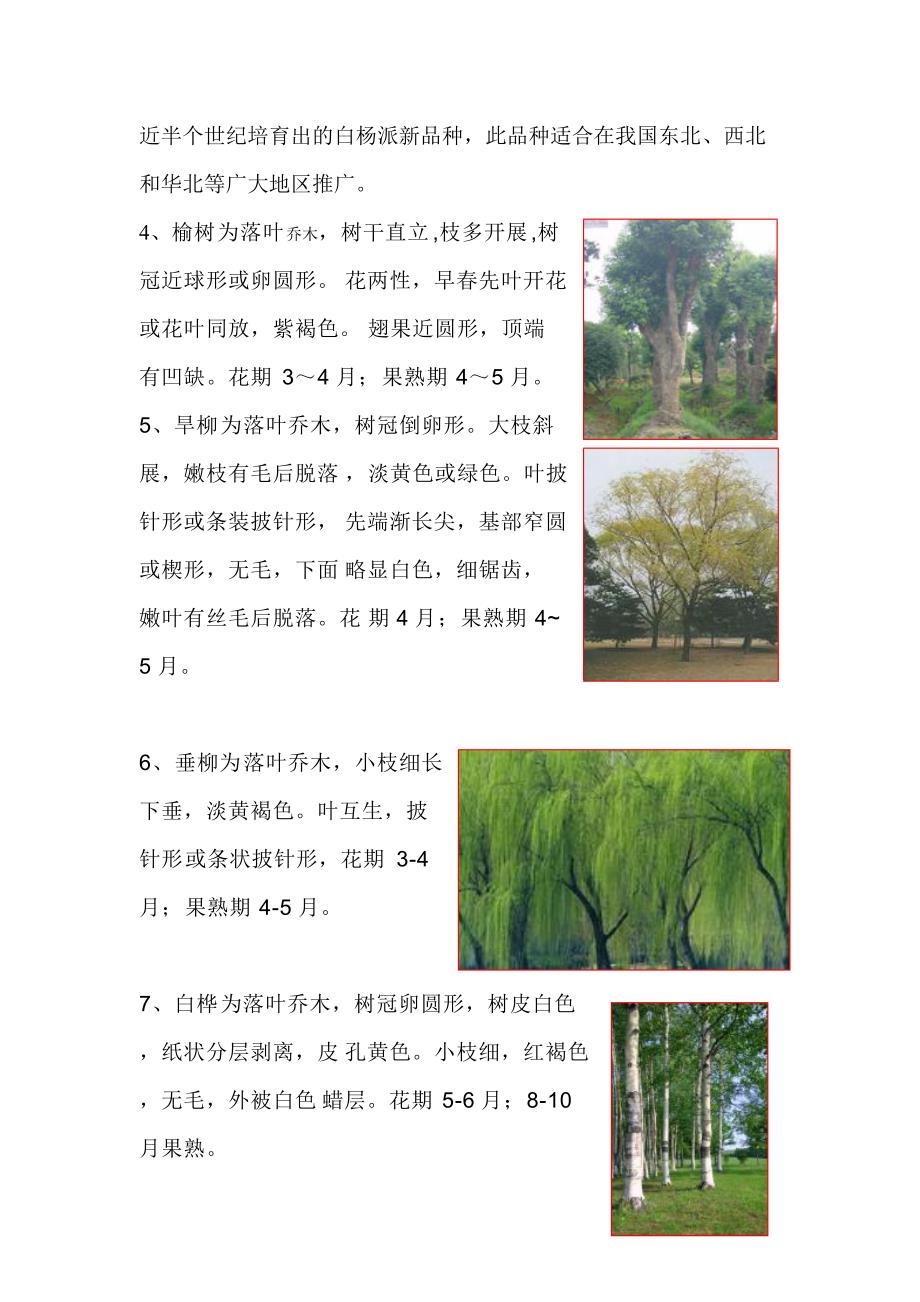 北方常见耐寒植物[汇编]_第3页