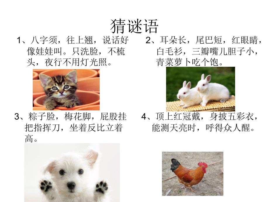 小动物作文写作方法PPT课件_第2页