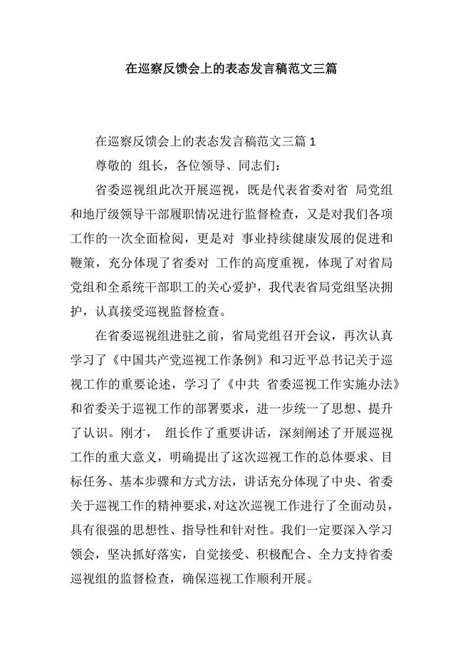 在巡察反馈会上的表态发言稿范文三篇