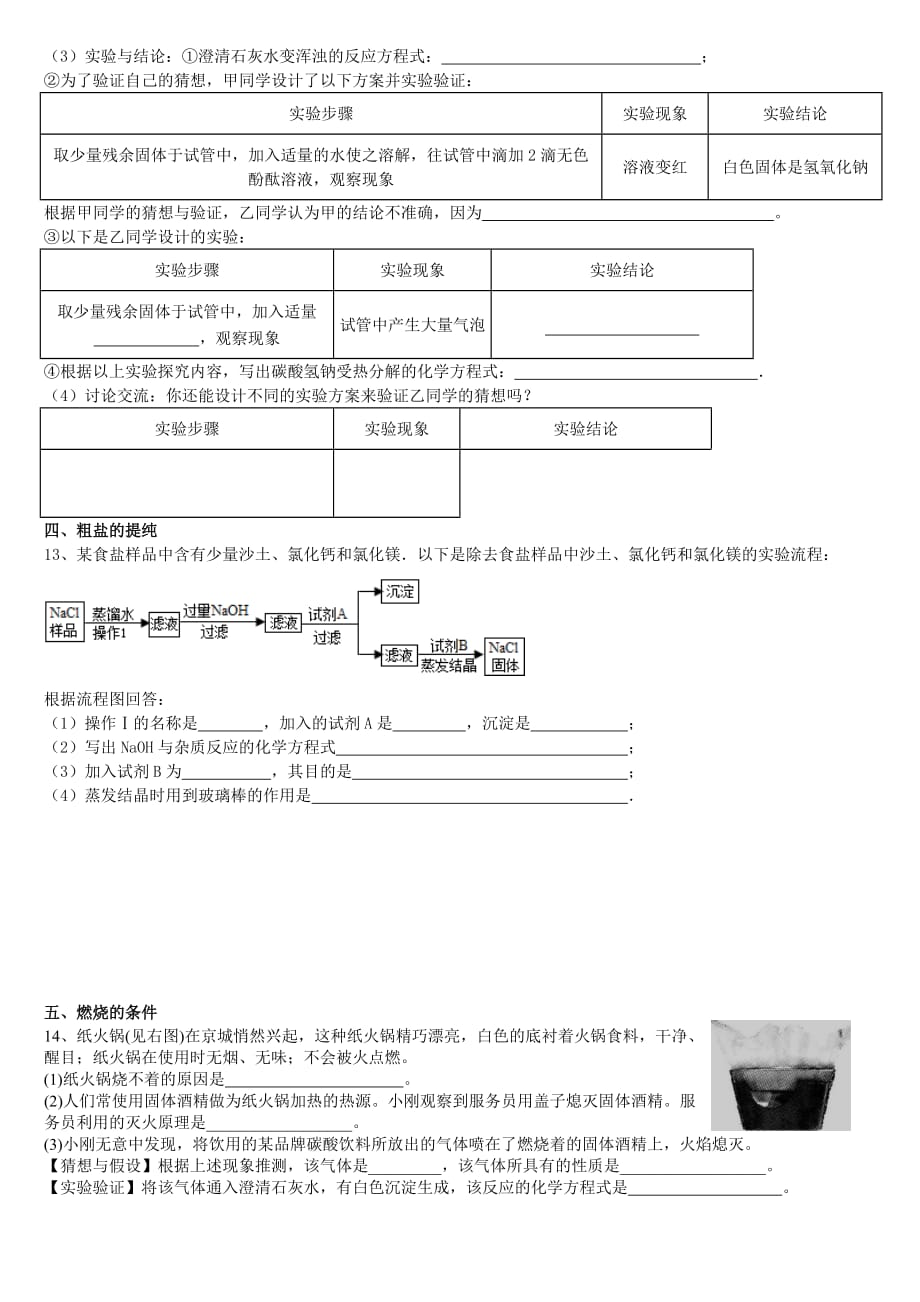 (完整版)初中化学实验探究题专题训练(整理)_第4页