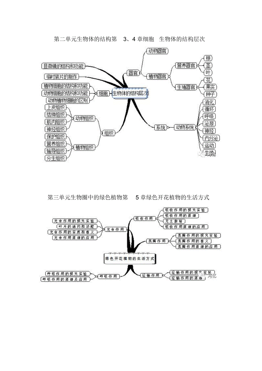 七年级下册生物思维导图-生物初一下册师傅导图精品_第2页
