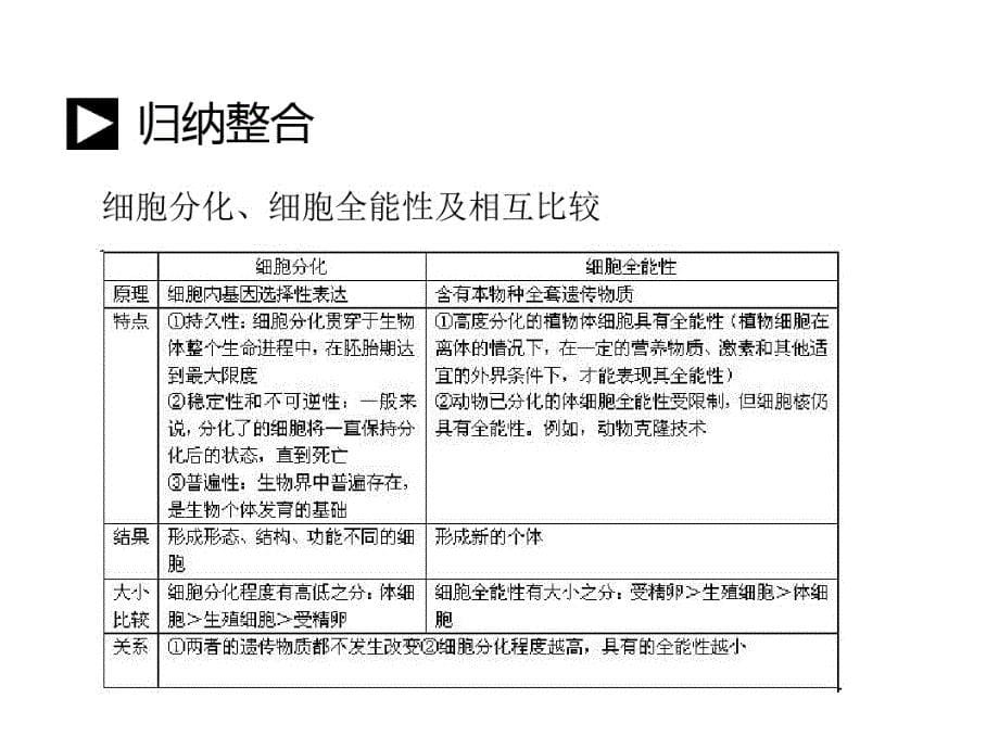 人教版生物高考一轮复习必修1细胞分化衰老凋亡和癌变-完整版_第5页