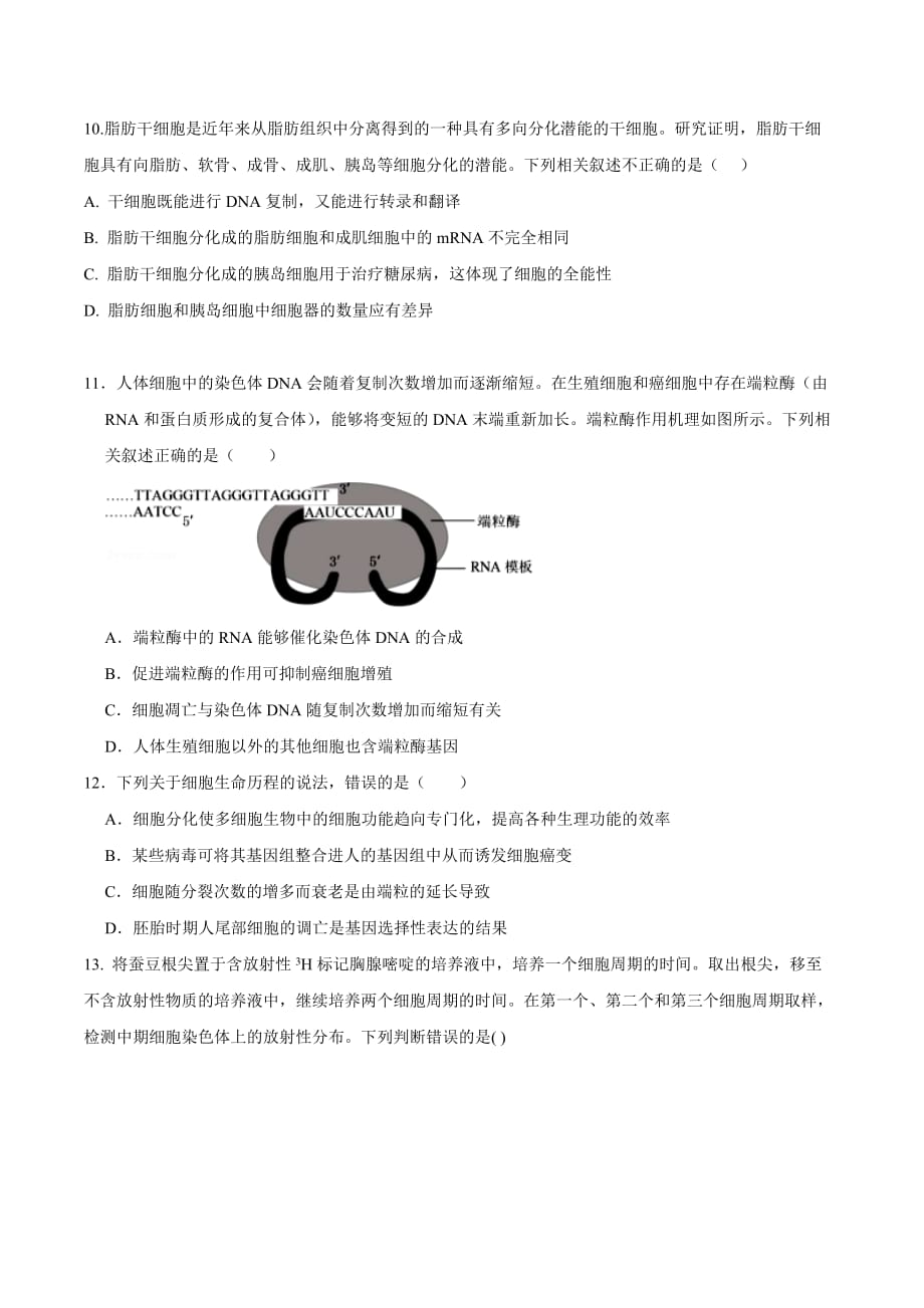 2021届新高考专用生物一轮复习双测第四单元 细胞的生命历程（B卷 提升原卷版）_第4页