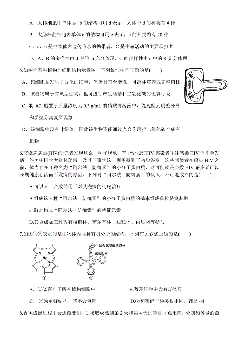 二轮复习专题一细胞的分子组成答案详解练习_第2页