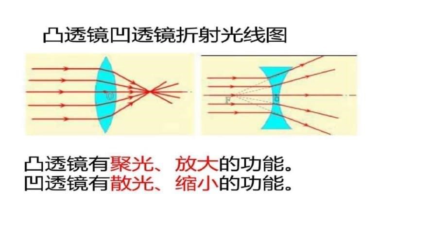 苏教版小学科学五年级上册研究透镜-完整版_第5页