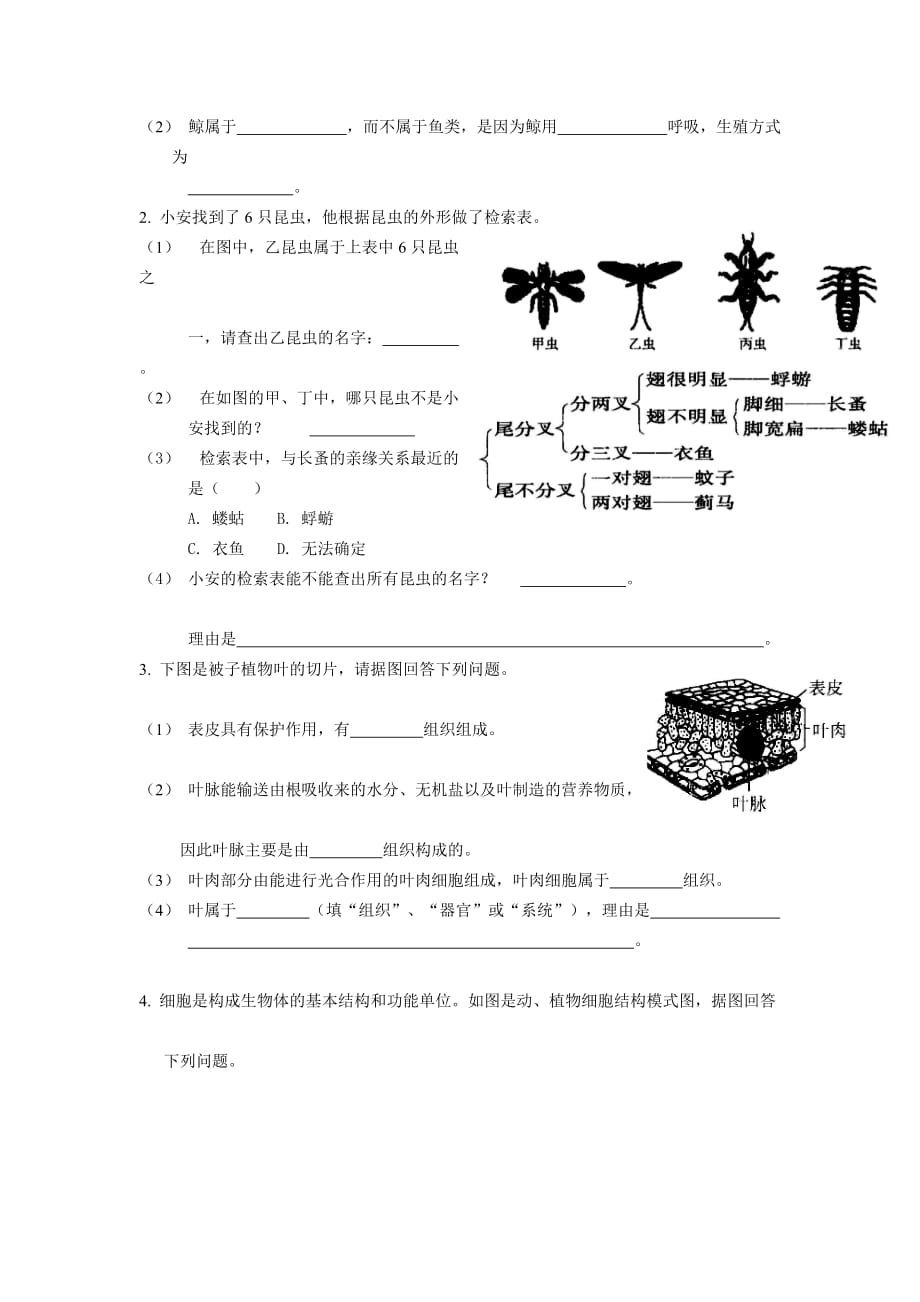 最新浙教版七年级科学上册第二章测试题_第4页