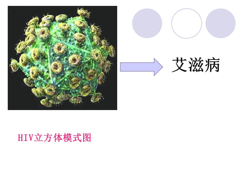 初中生物优质实用课件精选——常见的几种病原体_第2页