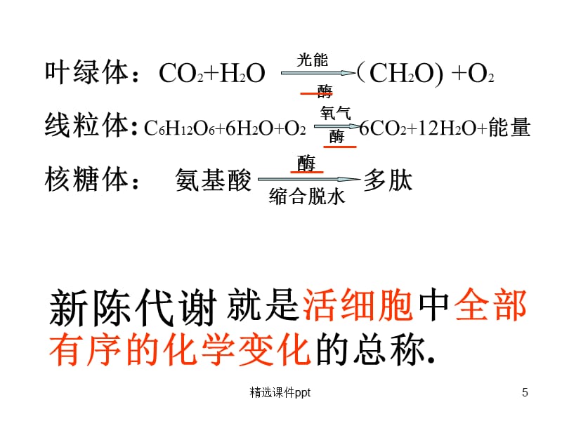 【中学课件】细胞的物质代谢_第5页