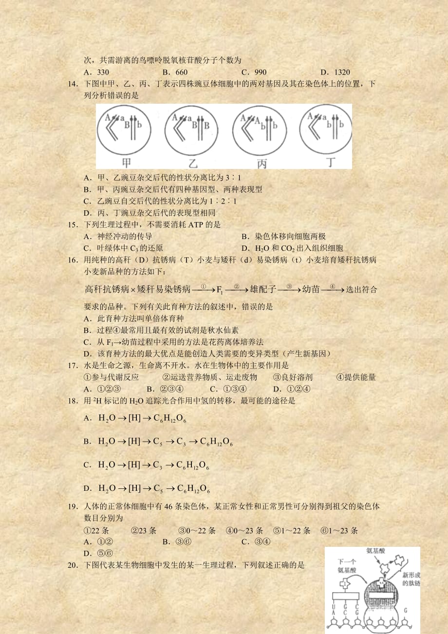 山东惠民二中2008年高三生物期末冲刺试题(五)_第3页