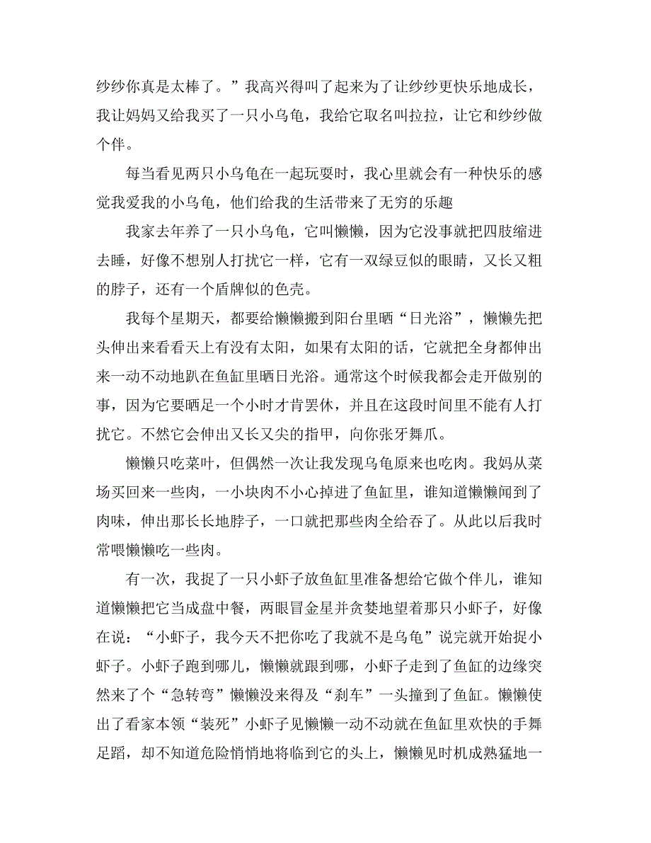 精选小学生写乌龟的作文500字锦集8篇_第2页