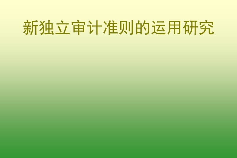 新独立审计准则的运用研究(105)_第1页