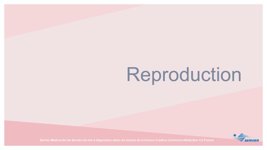 临床与科研绘图 生理学Reproduction_第2页