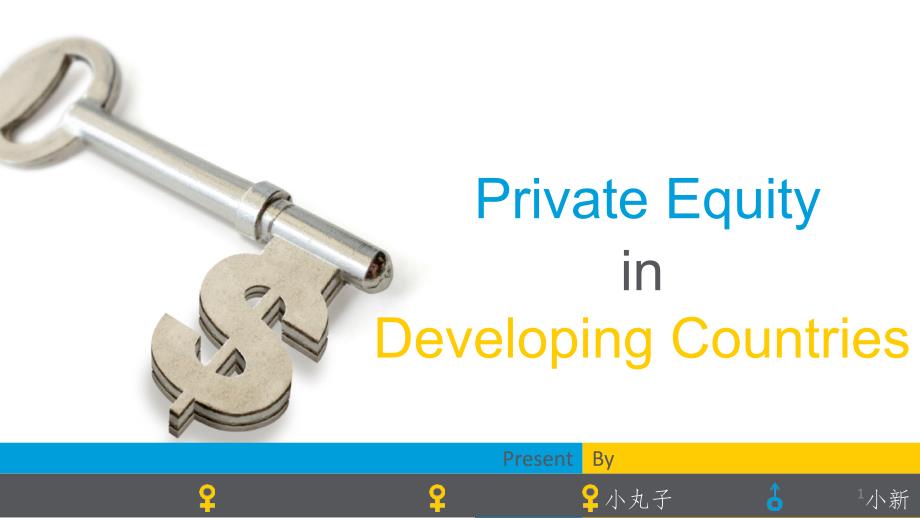 发展中国家的私募基金PPT课件_第1页