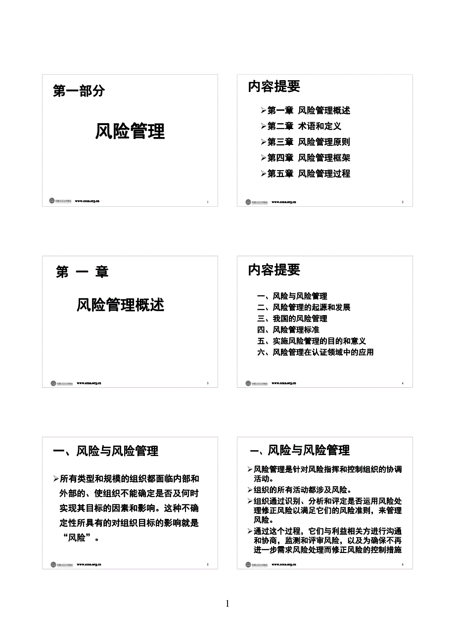 XXXX-LE-0001风险管理.pdf_第1页