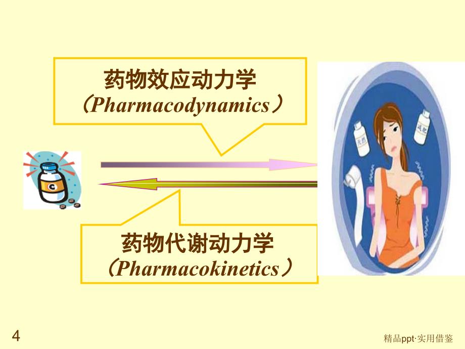 临床药物代谢动力学[参考]_第4页