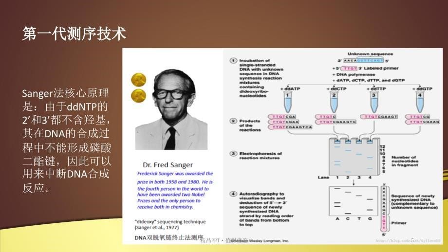 基因检测技术比较[整理]_第5页