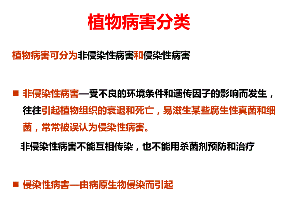 脐橙常见病虫害防治介绍[实用]_第3页