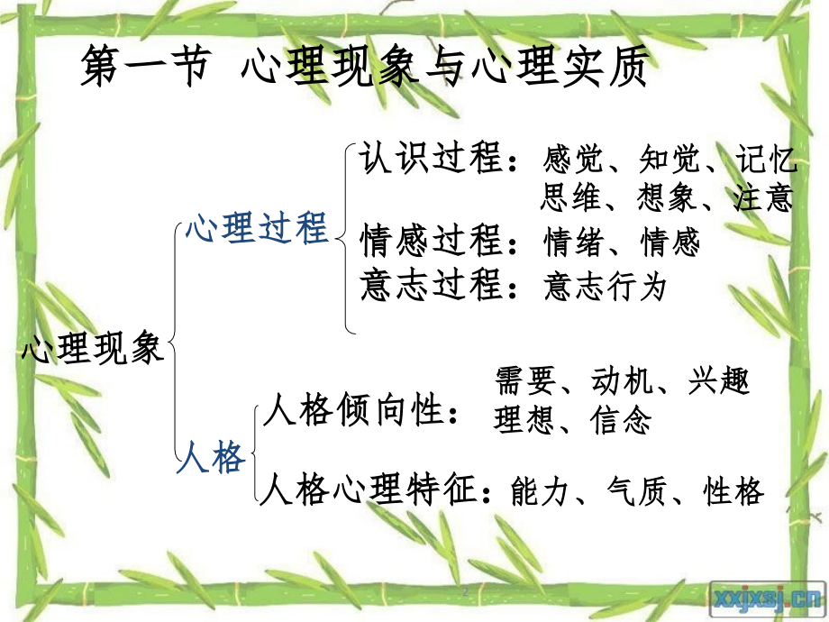 心理学基础知识PPT课件_第2页