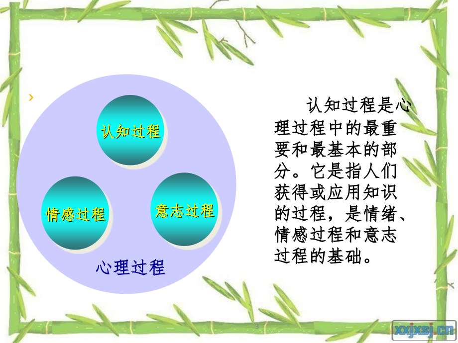 心理学基础知识PPT课件_第3页