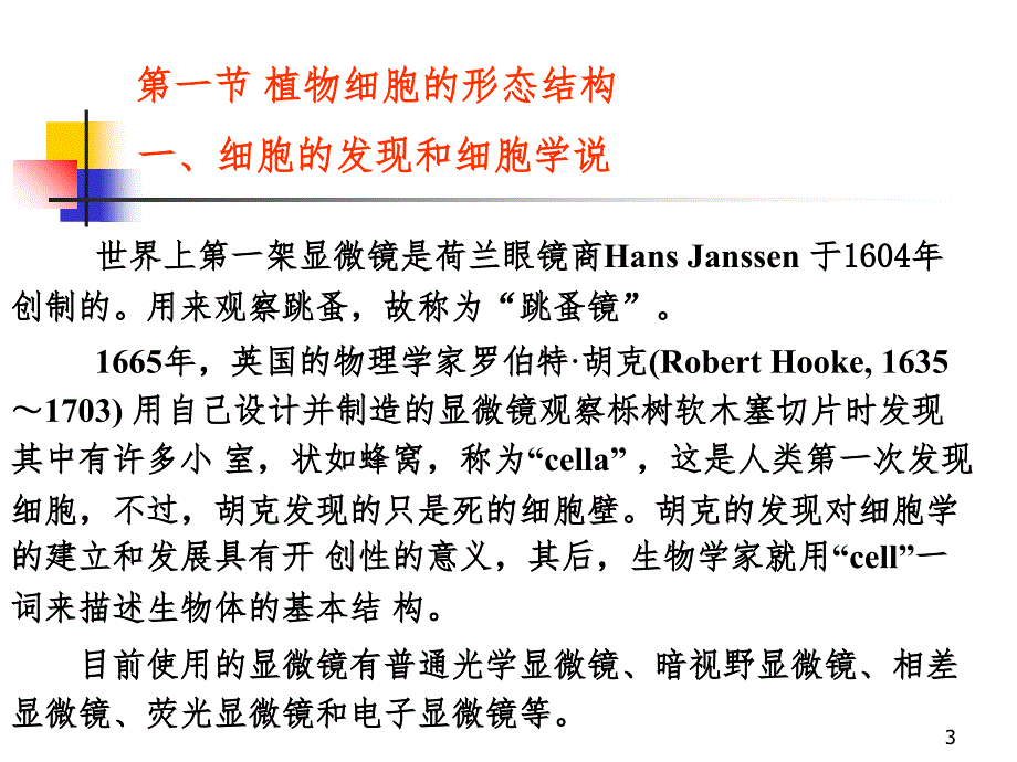 植物的细胞核组织一PPT课件_第3页