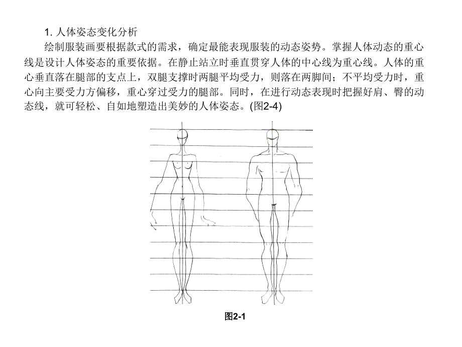 服装画第二章人体结构表现PPT课件_第3页