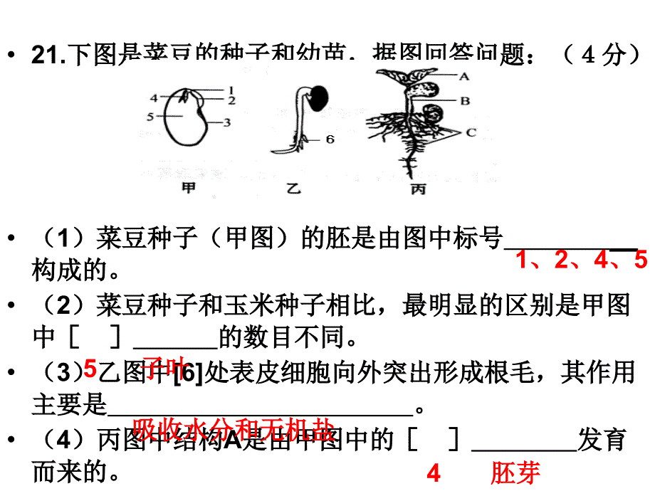 514生物进化的原因演示文稿_第3页