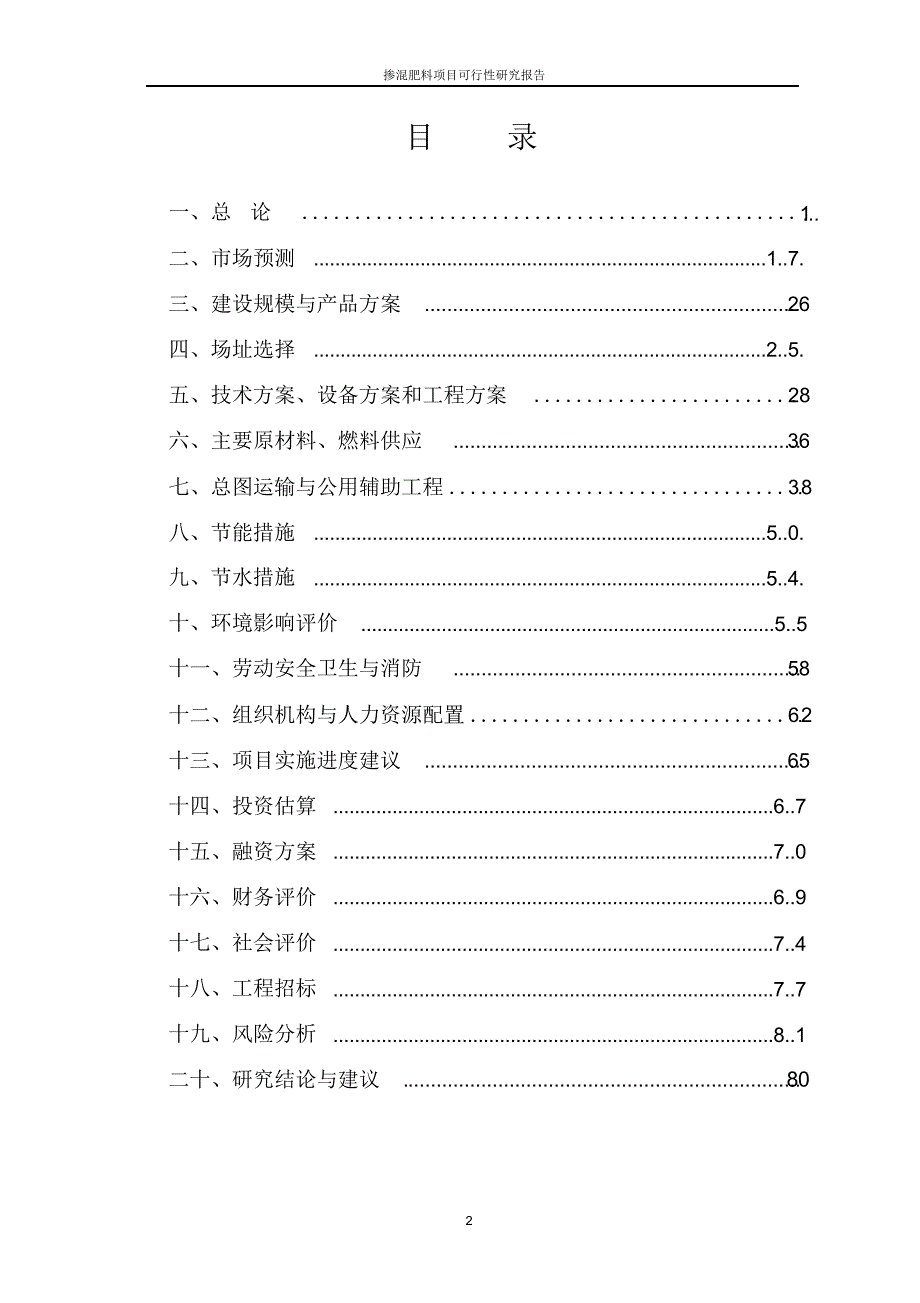 掺混肥料项目可行性研究报告-word版_第2页