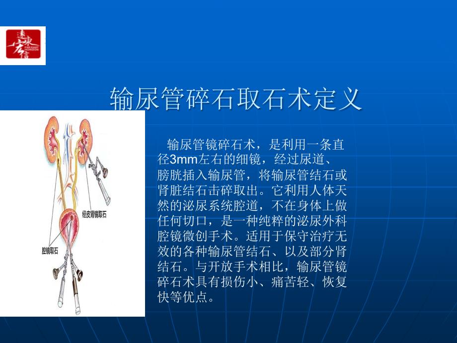 经尿道输尿管镜碎石取石术PPT课件012_第2页