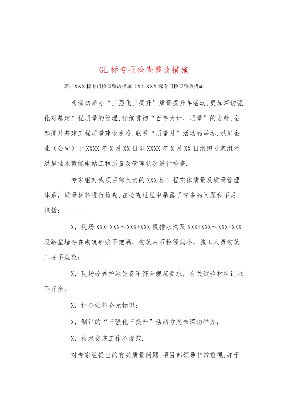 GL标专项检查整改措施_第1页