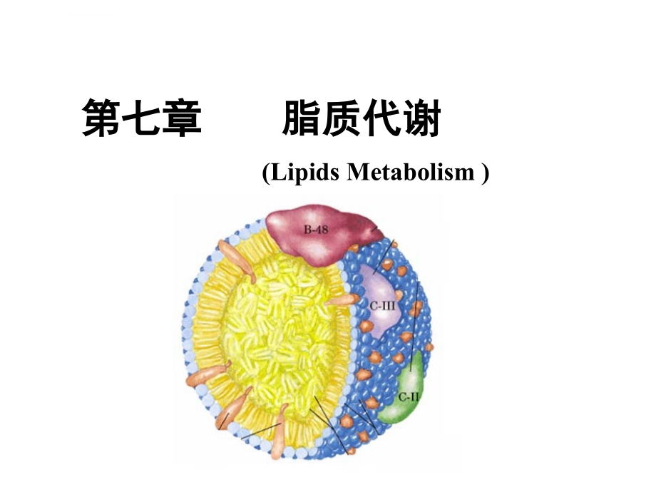 人卫版-生物化学-脂质代谢ppt课件_第1页