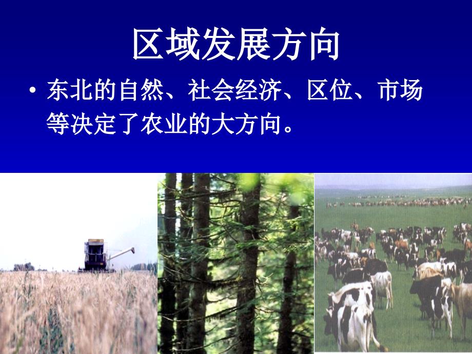 区域农业发展.ppt.ppt_第3页