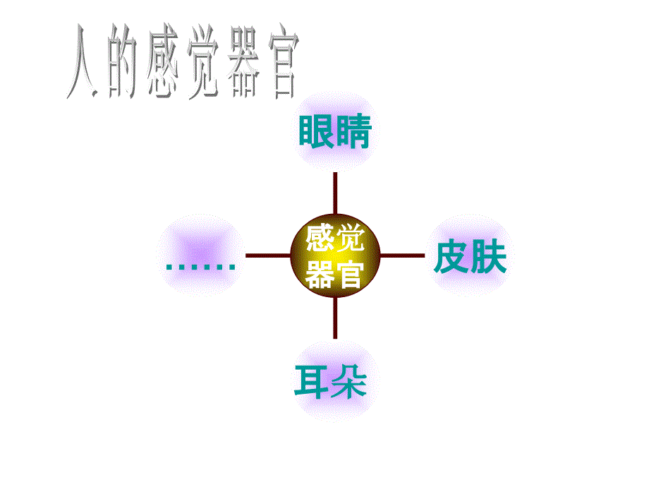 人体感知信息ppt课件_第2页