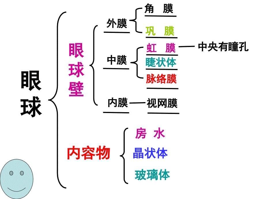 人体感知信息ppt课件_第5页