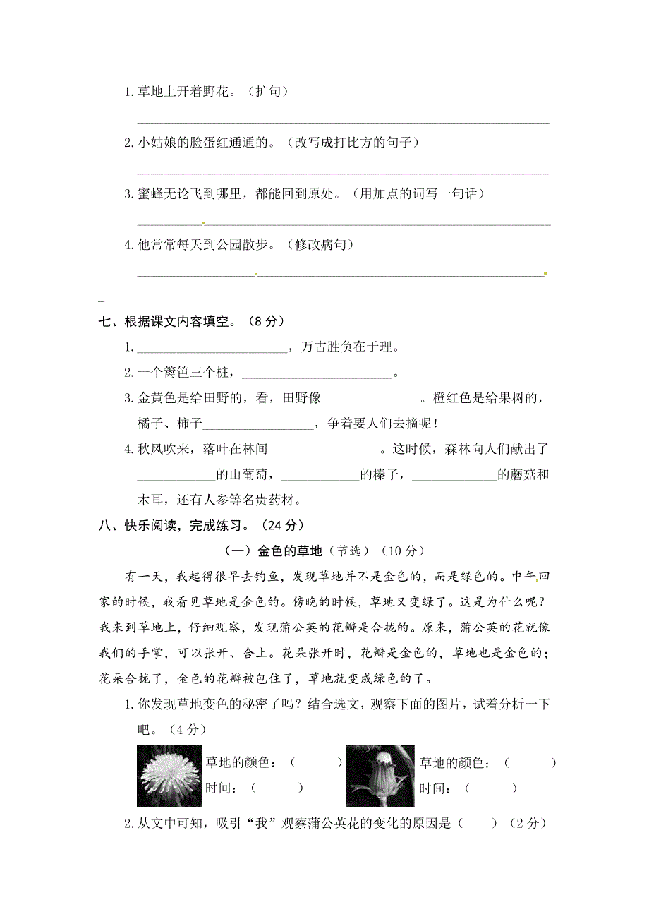 人教版（部编）三年级语文上册期末精选卷5（含答案）-（学科教研组编写） 修订_第2页