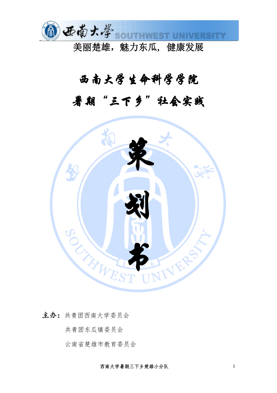 某大学三下乡云南楚雄小分队活动策划(DOC 44页)_第3页