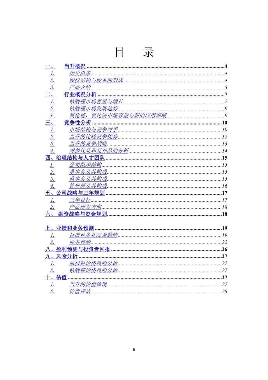 商业计划书--电池公司(doc 28页)_New_第5页