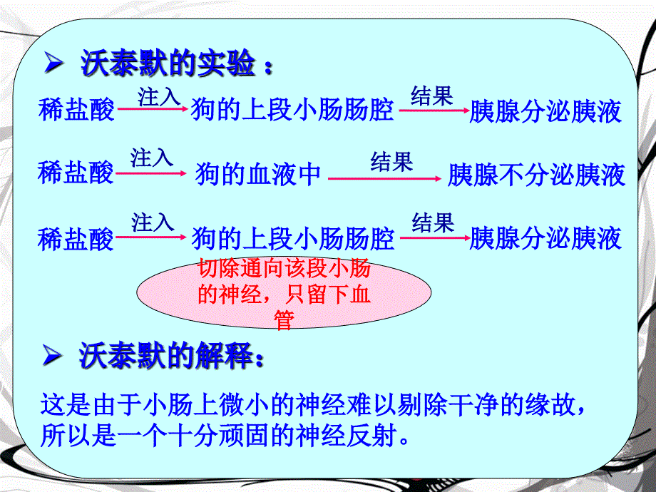 t通过激素调节ppt课件_第3页