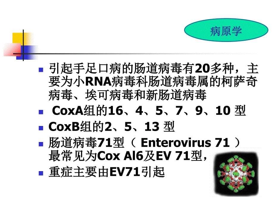 《手足口病》PPT课件_第5页