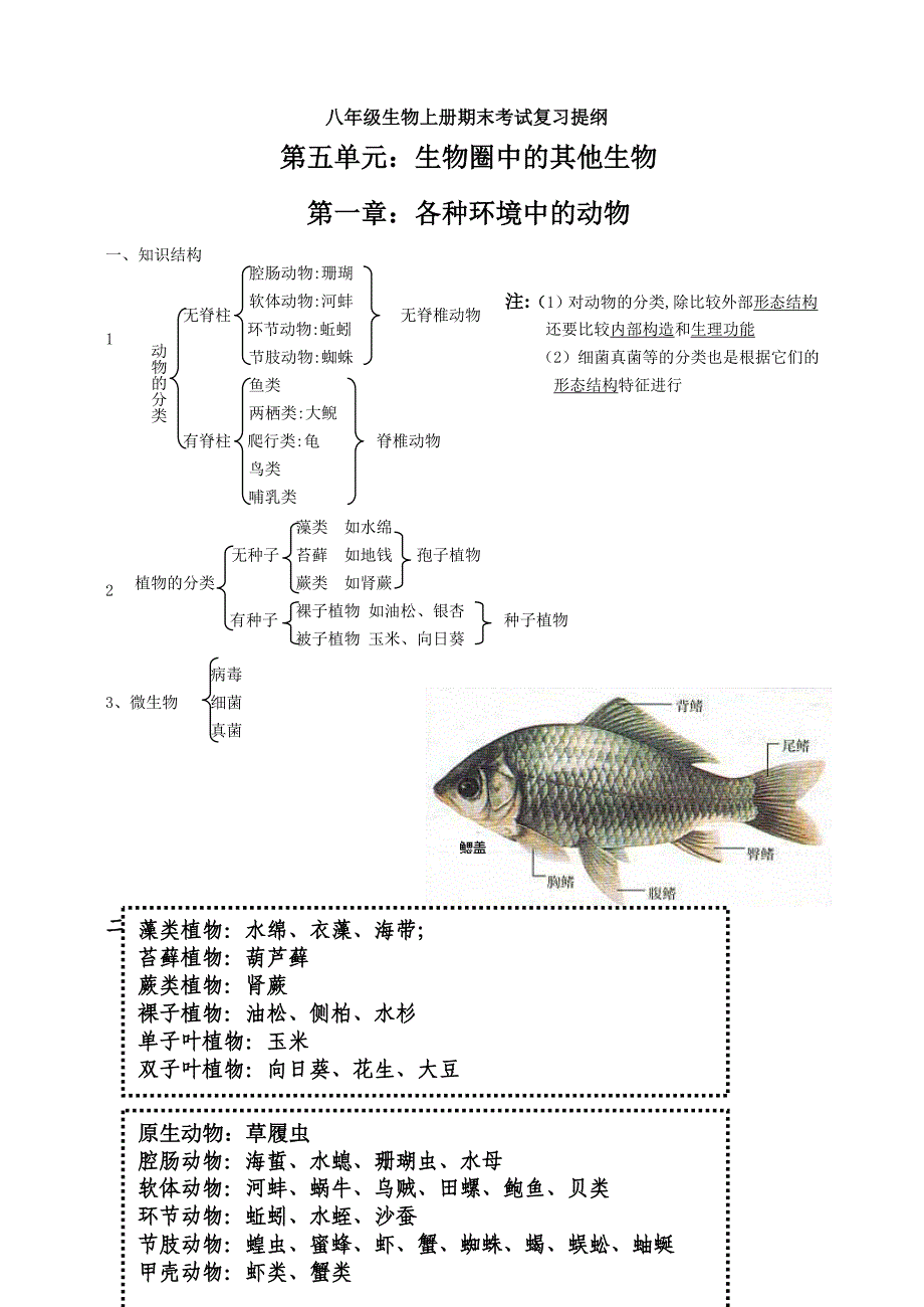 八年级上册生物复习提纲(完整整理) 修订-可编辑_第1页