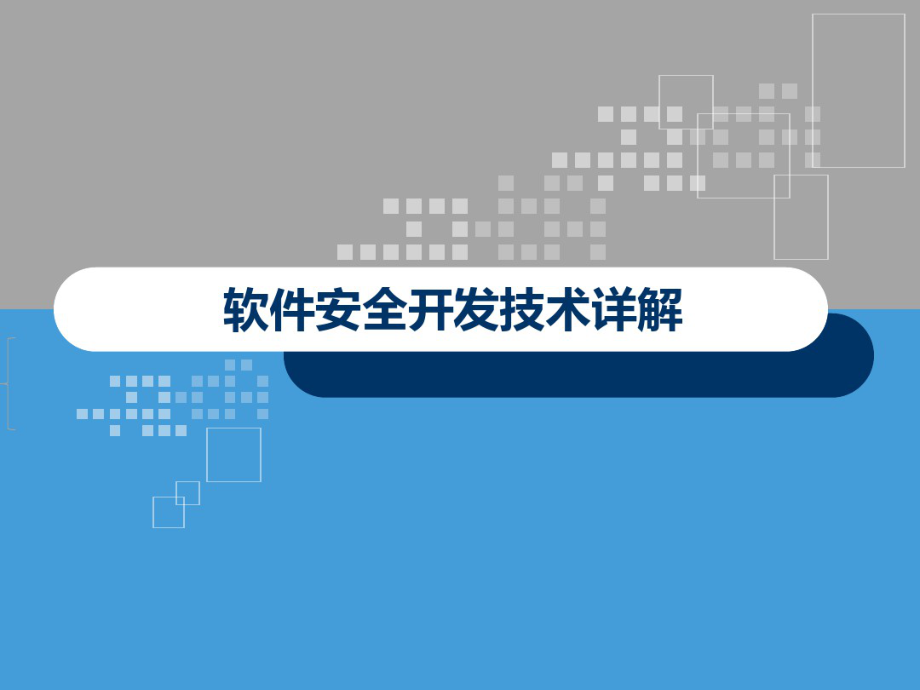 软件安全开发技术详解_第1页