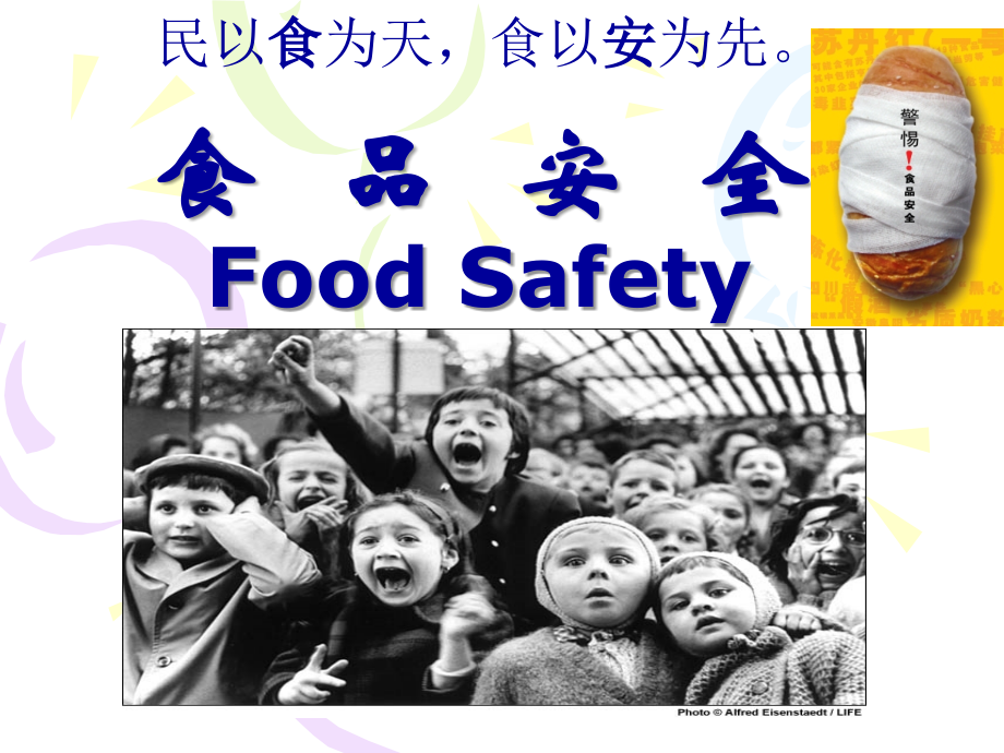 食品安全概述ppt课件_第1页