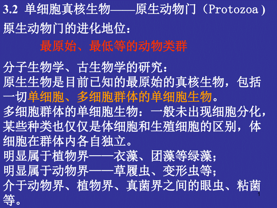 动物学之原生动物门-PPT课件_第1页