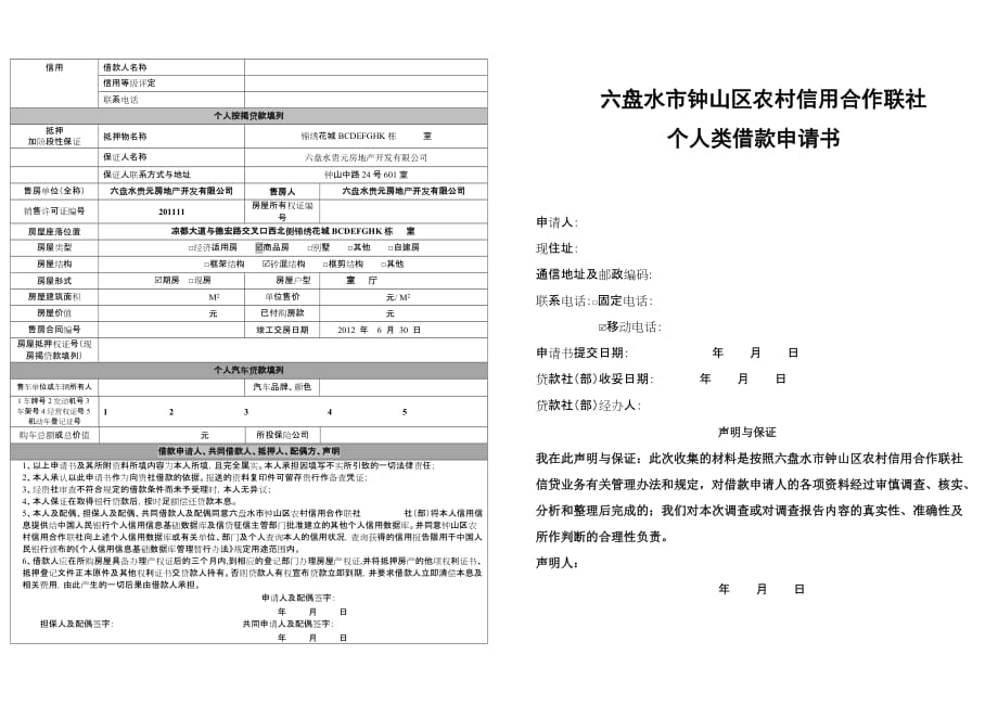 个人类借款申请书参考1.27(定稿)附件24_第1页