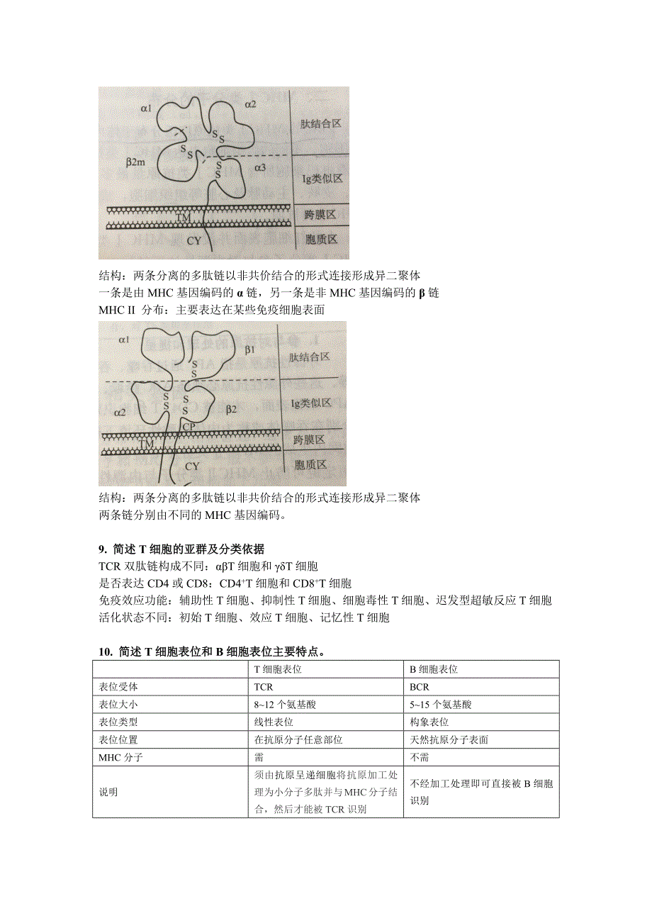 免疫学复习提纲 修订-可编辑_第4页