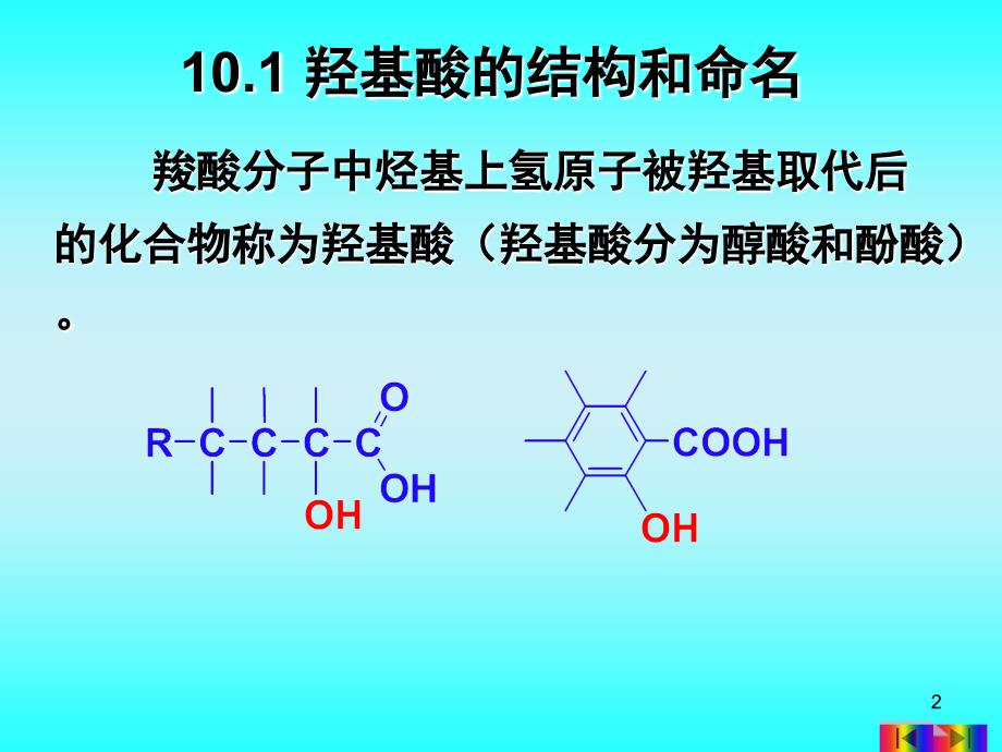 羟基酸和酮酸精选培训资料_第2页