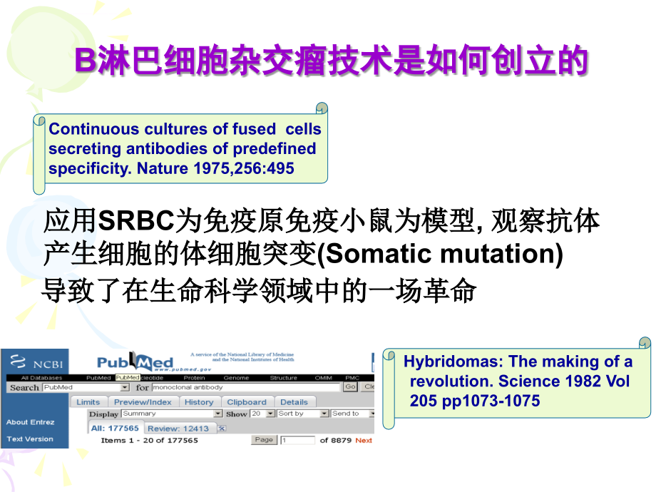 单克隆抗体的制备和应用ppt课件_第4页