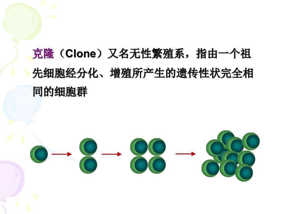 单克隆抗体的制备和应用ppt课件_第5页